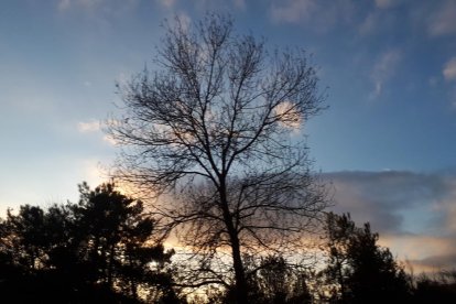 El fred, la boira i la neu... l'hivern ja és aquí!