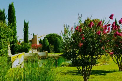 El teu temps, l'estiu 2018