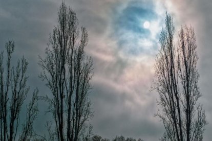 Sisco Acosta Andrés