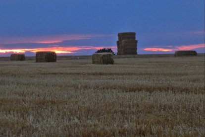 El teu temps, l'estiu 2018