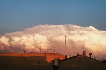 El teu temps, l'estiu 2018