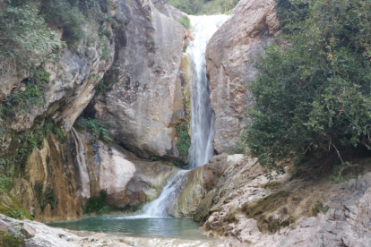 El teu temps, l'estiu 2018