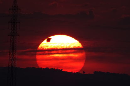 El teu temps, l'estiu 2018
