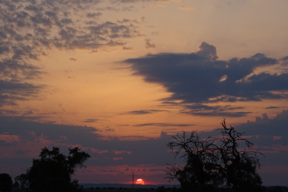 El teu temps, l'estiu 2018