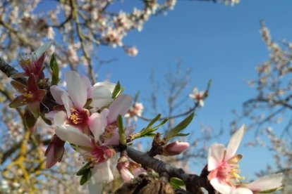El fred, la boira i la neu... l'hivern ja és aquí!