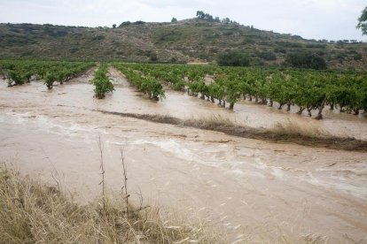 Montoliu de Segarram Guimerà y Verdú fueron las zonas más afectadas.