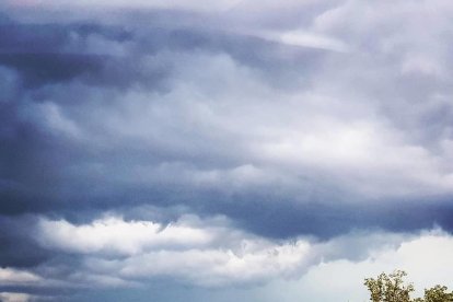 El teu temps, l'estiu 2018