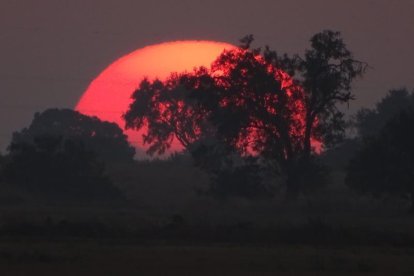 El teu temps, l'estiu 2018