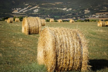 El teu temps, l'estiu 2018