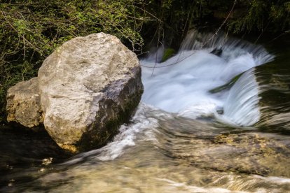 El teu temps, l'estiu 2018