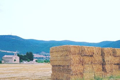 El teu temps, l'estiu 2018