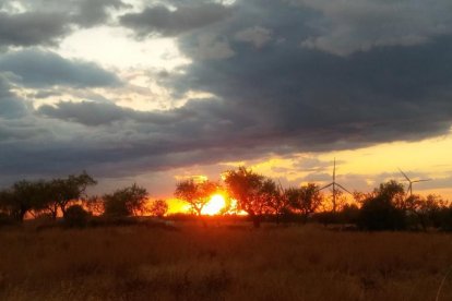 El teu temps, l'estiu 2018