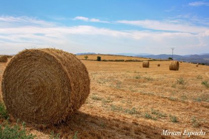 Miriam Espachs Romeu