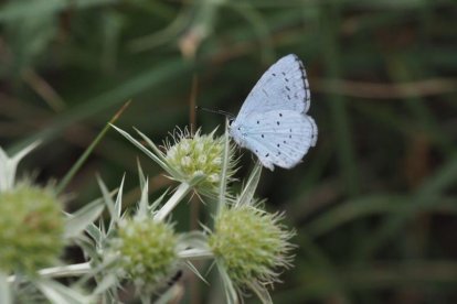 El teu temps, l'estiu 2018