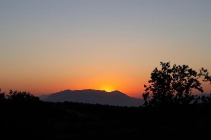 El teu temps, l'estiu 2018