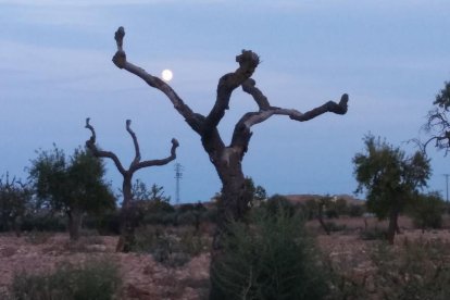 El teu temps, l'estiu 2018