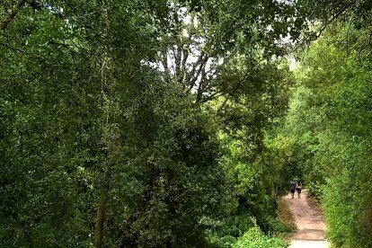 El teu temps, l'estiu 2018