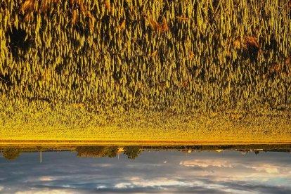 El teu temps, l'estiu 2018