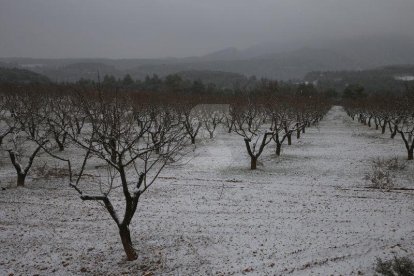 Precipitacions en forma de neu a Ponent des del dimarts al migdia