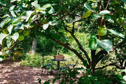 Arriba l'estiu i és temps de desconnexió. Mostra'ns com et relaxes.
