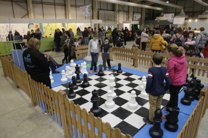 Amado Forrolla / Magdalena Altisent