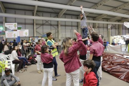 Amado Forrolla / Magdalena Altisent