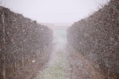 Precipitacions en forma de neu a Ponent des del dimarts al migdia