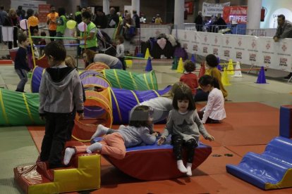 Amado Forrolla / Magdalena Altisent