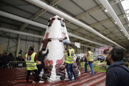 Amado Forrolla / Magdalena Altisent