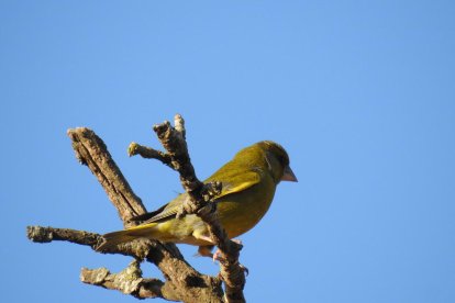 Envia'ns fotos relacionades amb l'estiu i guanya una estada a l'Hotel Estanys Blaus de Tavascan.