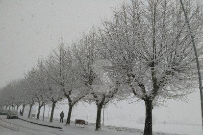 Precipitacions en forma de neu a Ponent des del dimarts al migdia