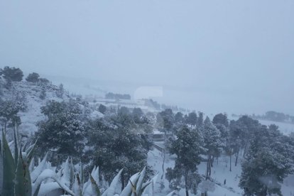Precipitacions en forma de neu a Ponent des del dimarts al migdia