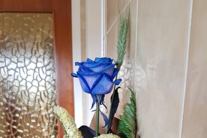 El pom d'una porta, una abella en una flor, una mà,...