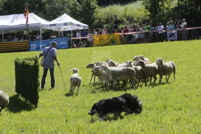 Amado Forrolla i Diputació de Lleida