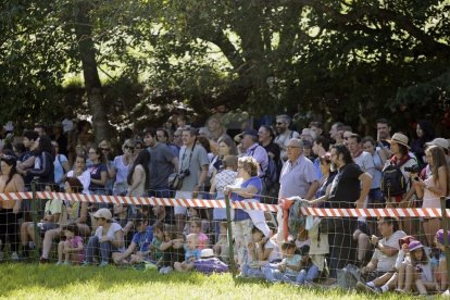Amado Forrolla i Diputació de Lleida