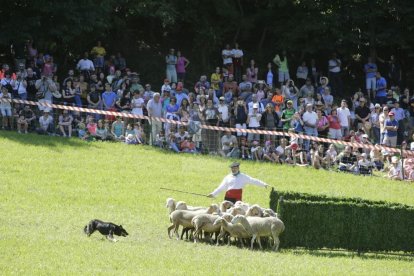 Amado Forrolla i Diputació de Lleida