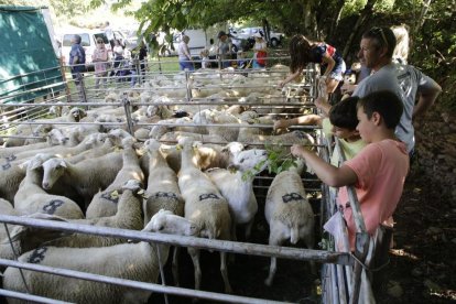 Amado Forrolla i Diputació de Lleida