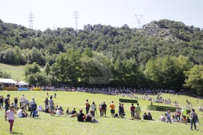 Amado Forrolla i Diputació de Lleida