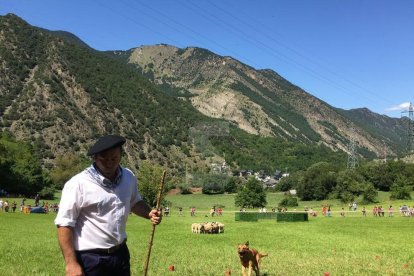 Amado Forrolla i Diputació de Lleida