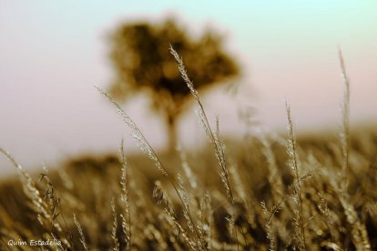 Envia'ns fotos relacionades amb l'estiu i guanya una estada a l'Hotel Estanys Blaus de Tavascan.