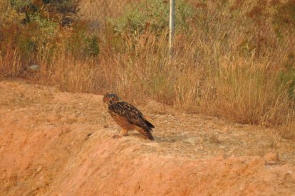 Envia'ns fotos relacionades amb l'estiu i guanya una estada a l'Hotel Estanys Blaus de Tavascan.