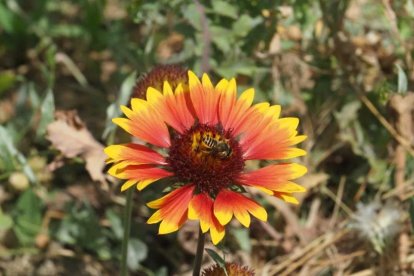 Envia'ns fotos relacionades amb l'estiu i guanya una estada a l'Hotel Estanys Blaus de Tavascan.