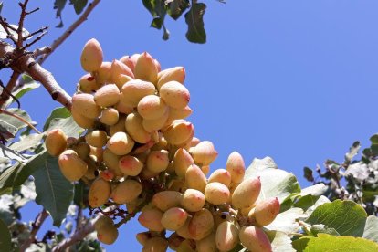 Envia'ns fotos relacionades amb l'estiu i guanya una estada a l'Hotel Estanys Blaus de Tavascan.