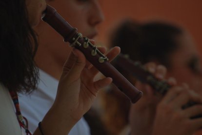 El pom d'una porta, una abella en una flor, una mà,...