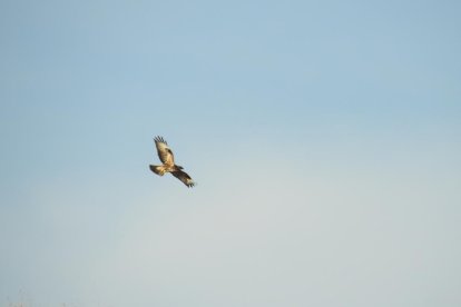 Envia'ns fotos relacionades amb l'estiu i guanya una estada a l'Hotel Estanys Blaus de Tavascan.