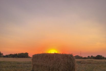 Envia'ns fotos relacionades amb l'estiu i guanya una estada a l'Hotel Estanys Blaus de Tavascan.