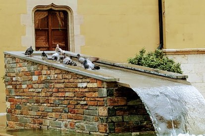 Envia'ns fotos relacionades amb l'estiu i guanya una estada a l'Hotel Estanys Blaus de Tavascan.