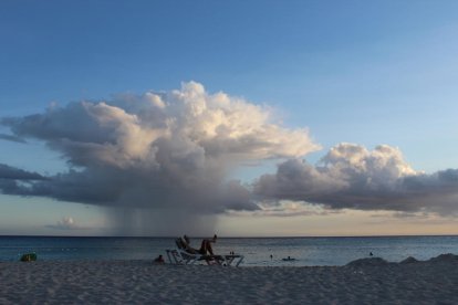 Maria Jose Tomàs Berdala