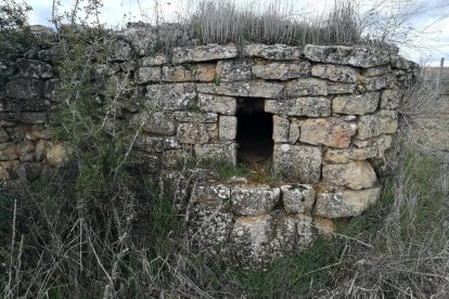 El pom d'una porta, una abella en una flor, una mà,...