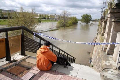 Tallen l'accés a la canalització del Segre a Lleida i Balaguer